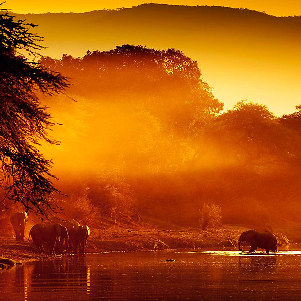 Lower Zambezi National Park, ZAMBIA