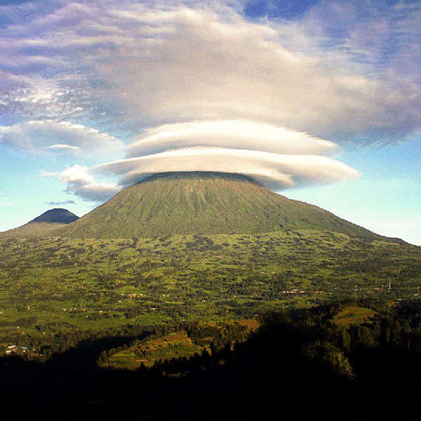 Volcanoes National Park, RWANDA